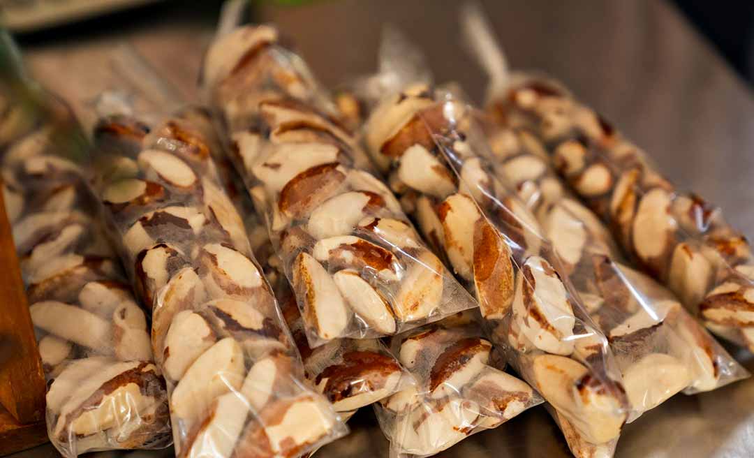 agroextrativismo 003