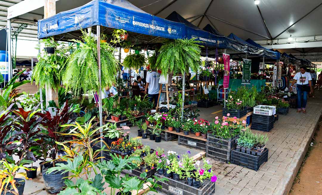 agroextrativismo 005