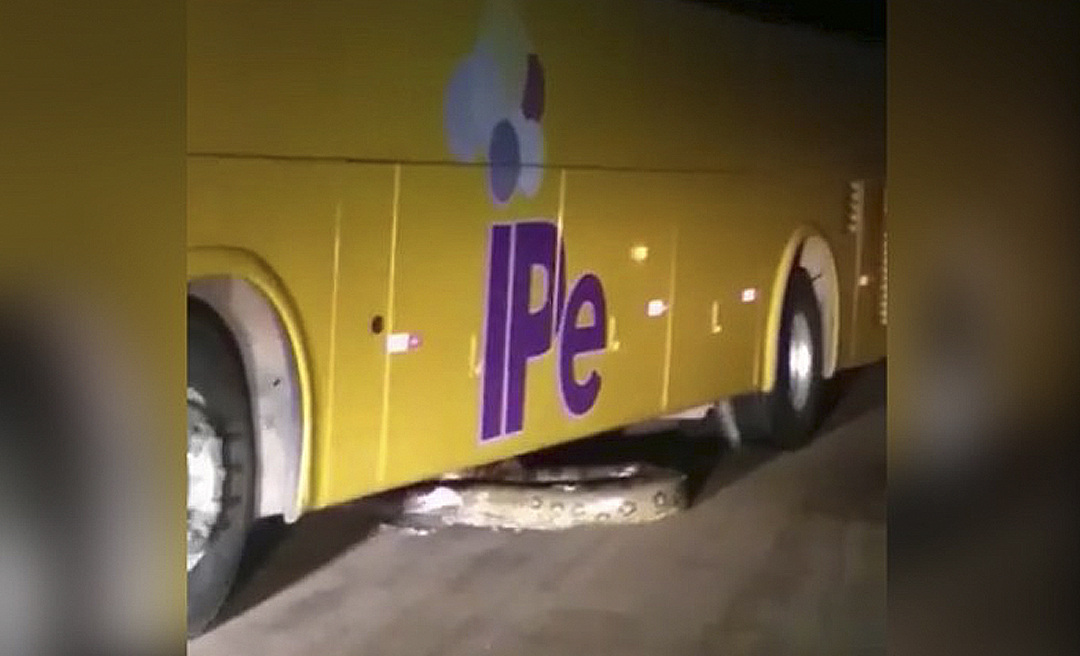 Motorista é acusado de atropelar sucuri de cinco metros de propósito na BR-364; Veja o vídeo