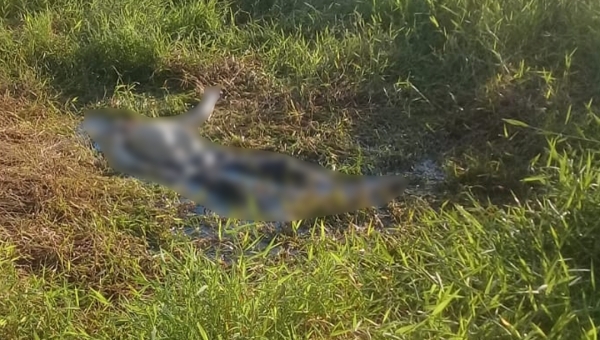 Corpo em decomposição é encontrado no Ramal do Mundico por um peão de fazenda