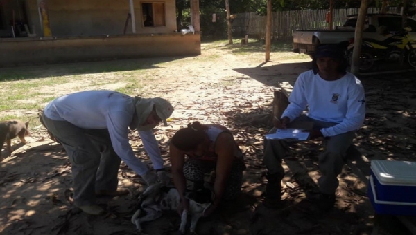 Prefeitura de Rio Branco realiza campanha de Vacinação Antirrábica Canina e Felina