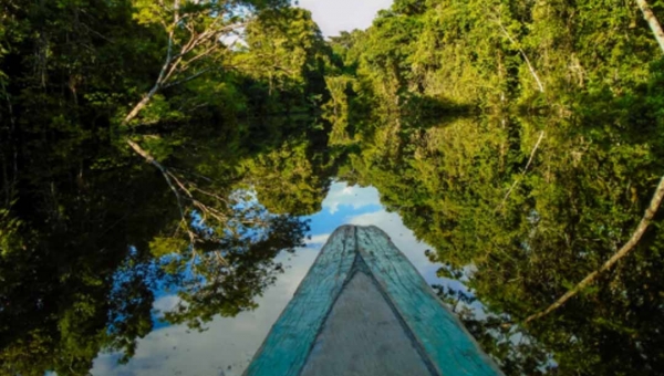 Projeto de cooperação internacional estuda biodiversidade na Amazônia Ocidental