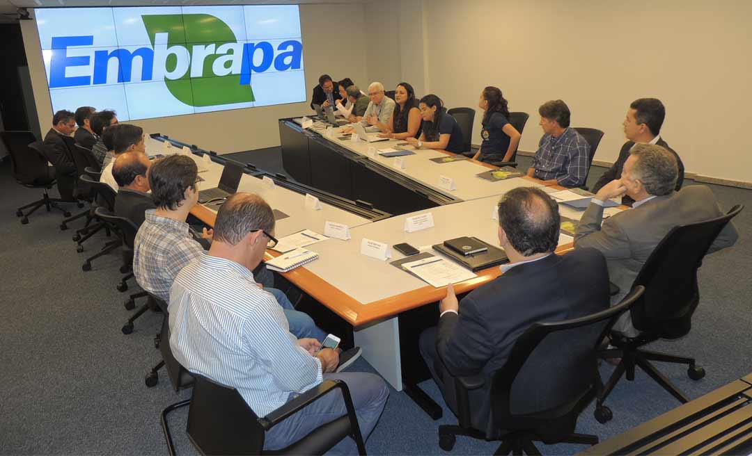 Acre, Amazonas e Rondônia avançam na criação da zona de desenvolvimento agropecuário