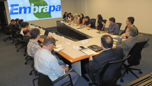 Acre, Amazonas e Rondônia avançam na criação da zona de desenvolvimento agropecuário