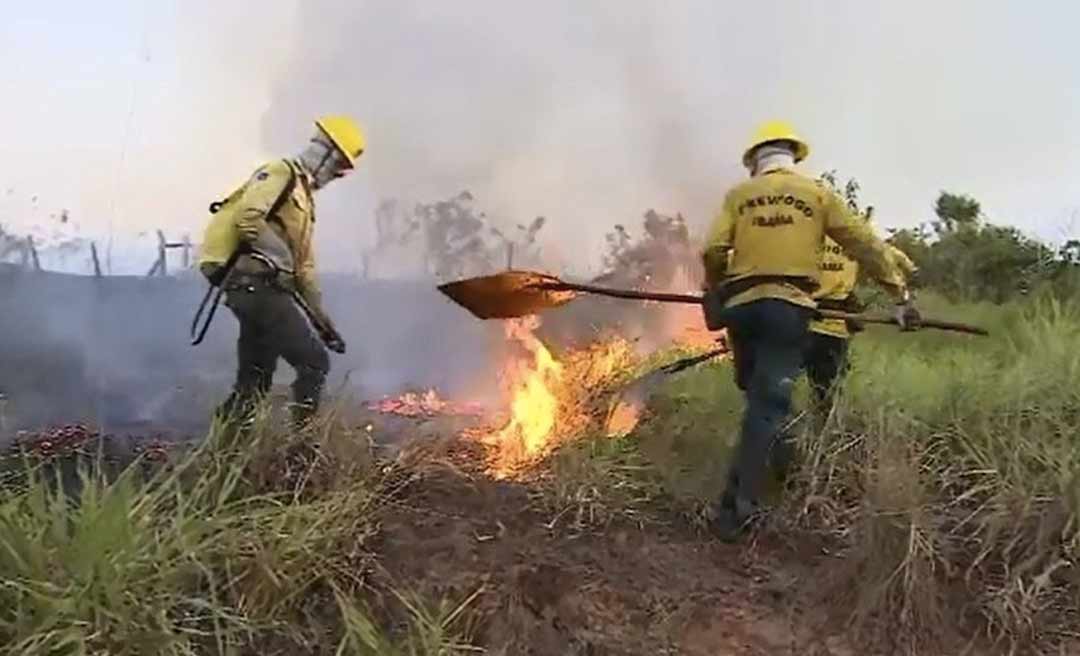 Governo pede apoio da Força Nacional para combater incêndios florestais