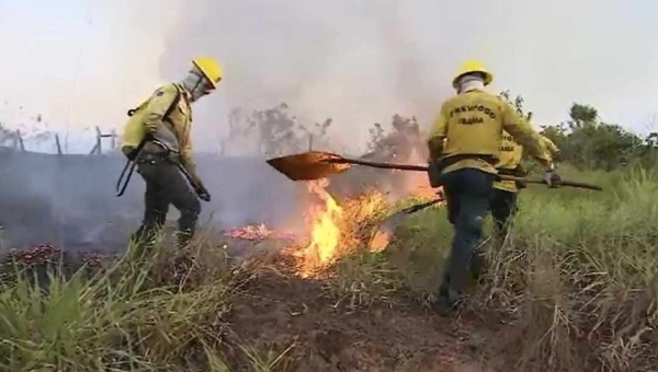 Governo pede apoio da Força Nacional para combater incêndios florestais