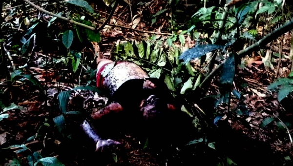 Menina de 12 anos é achada morta com corte no pescoço em mata no Santo Afonso