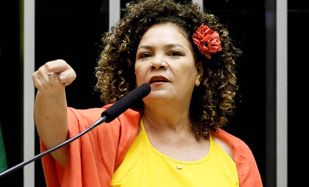 Perpétua acusa Direita na Bolívia de terrorismo e uso de milícias para depor Evo Morales