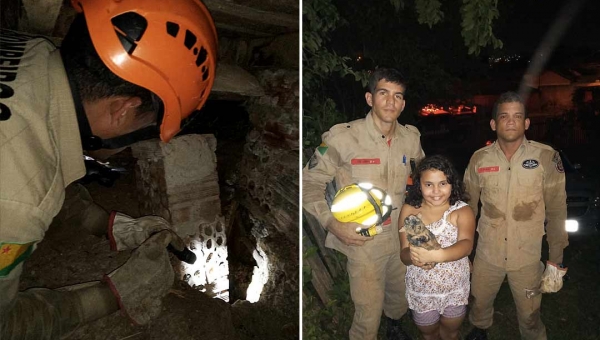 Bombeiros resgatam cãozinho de buraco em terreno no bairro Raimundo Melo, em Rio Branco