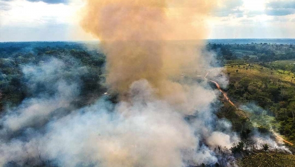 Após 15 anos, Acre volta a registrar níveis recordes de desmatamento
