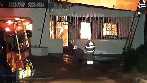 Cachorros e papagaio são resgatados durante incêndio em churrascaria