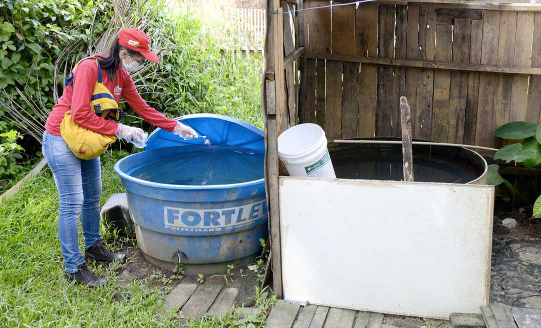 Prefeitura de Rio Branco alerta para risco de surto de dengue e conclama população a adotar cuidados