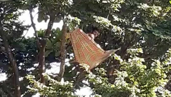 Homem arma e deita em rede no alto de uma árvore em Rio Branco