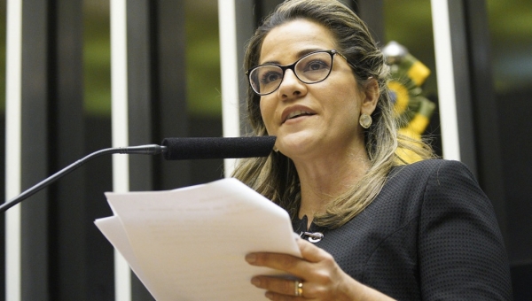 Deputada Mara Rocha pede retirada de artigo que penaliza servidores públicos 