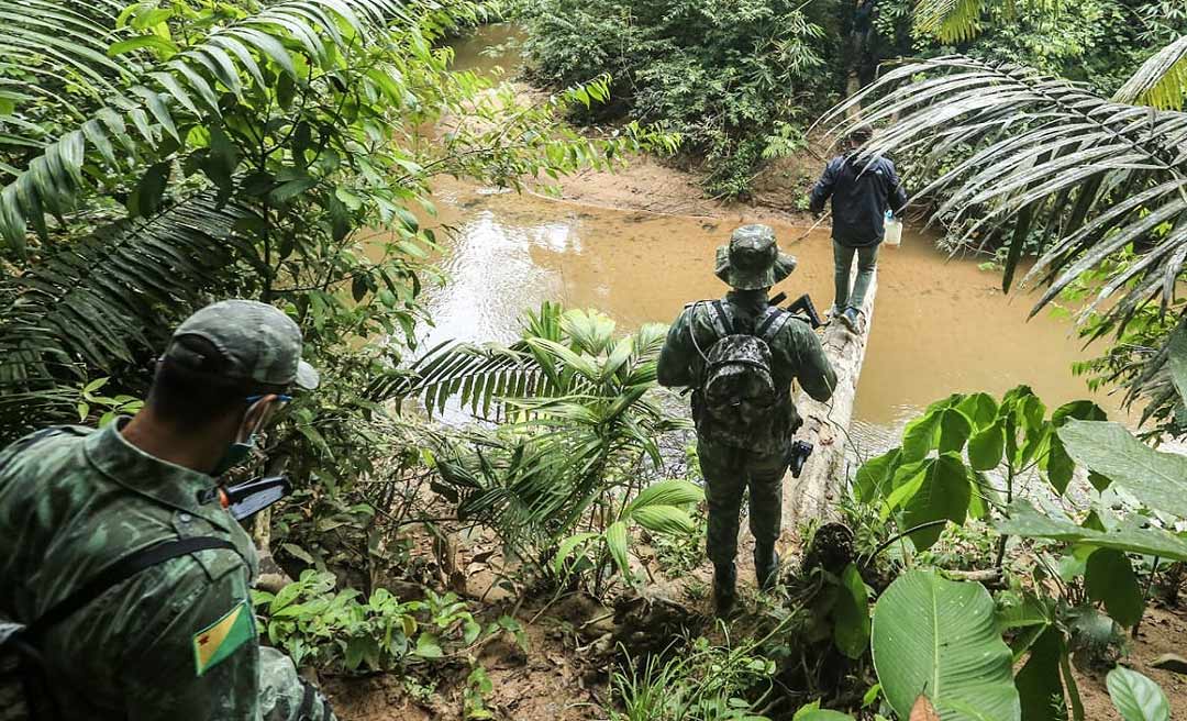 Órgãos ambientais notificam 81 ocupantes irregulares em florestas e valor total de multas ultrapassa R$ 500 mil