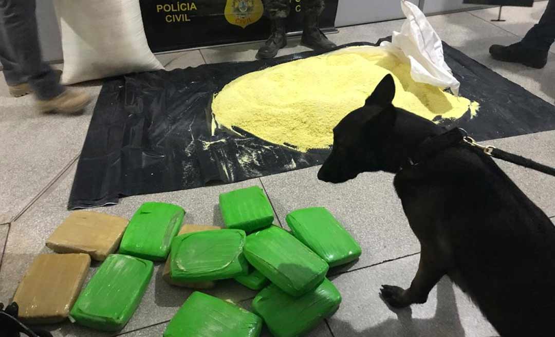 Forças de Segurança encontram sacos de farinha recheados com skunk em ônibus que saía de Cruzeiro do Sul