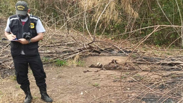 Ossada humana é encontrada em Fazenda na região do Apolônio Sales, em Rio Branco