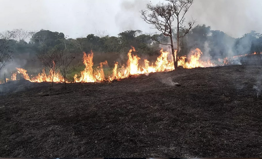 Polícia Civil prende pecuarista acusado de provocar incêndio na Transacreana