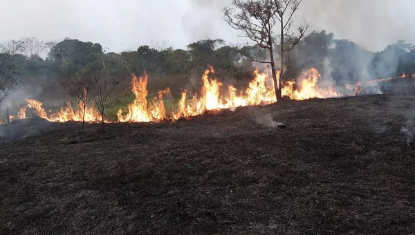 Polícia Civil prende pecuarista acusado de provocar incêndio na Transacreana