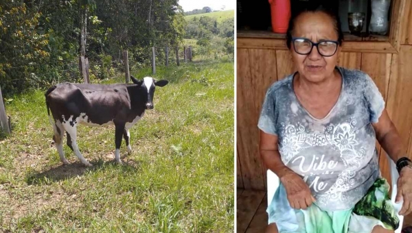 “Já me pediram de tudo, mas uma vaca leiteira foi o mais inusitado de todos”, diz Gladson Cameli