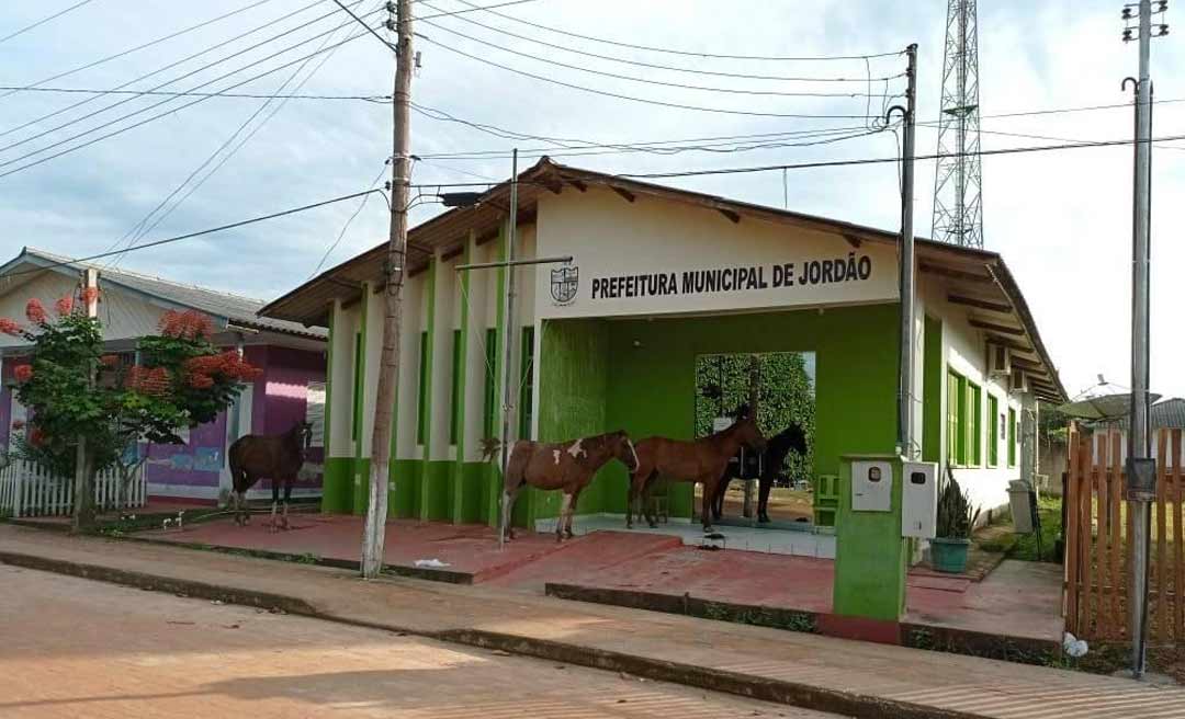 Cavalos são flagrados dentro do prédio da Prefeitura de Jordão; imagem gerou polêmica