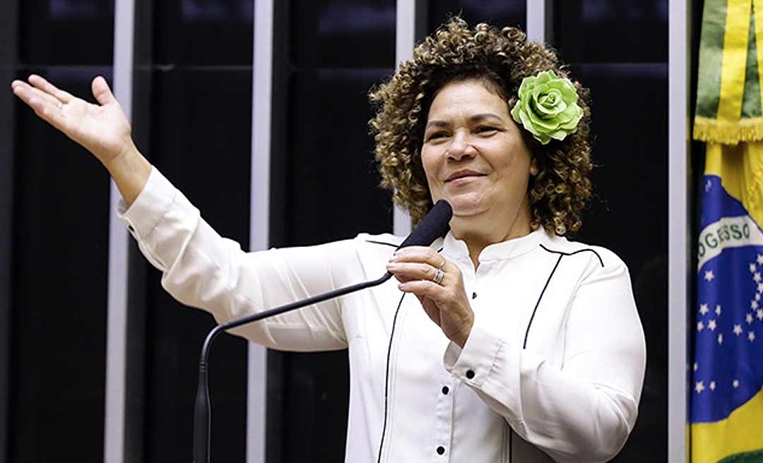 Perpétua cutuca Bolsonaro e diz : “O STF não impediu Bolsonaro de trabalhar!”