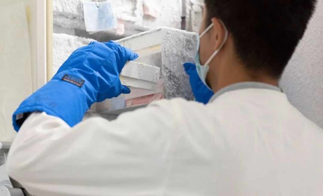 O outro vírus que preocupa a Ásia (e como os cientistas tentam evitar que provoque mais uma pandemia)