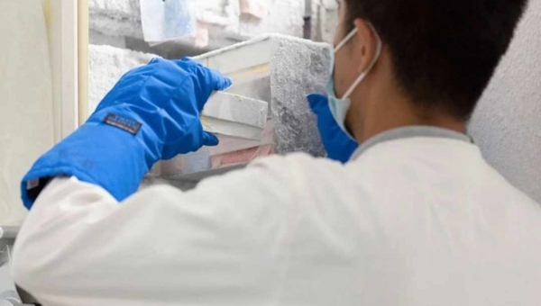 O outro vírus que preocupa a Ásia (e como os cientistas tentam evitar que provoque mais uma pandemia)