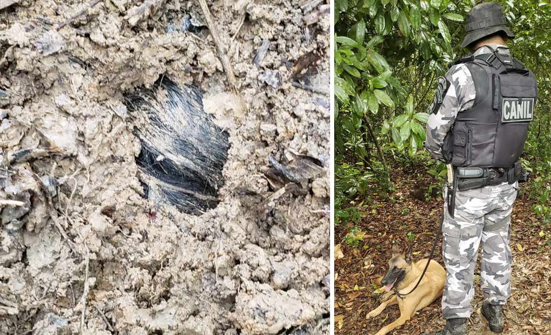 Em Rio Branco, garota de 13 anos é torturada e morta pelo “tribunal do crime”