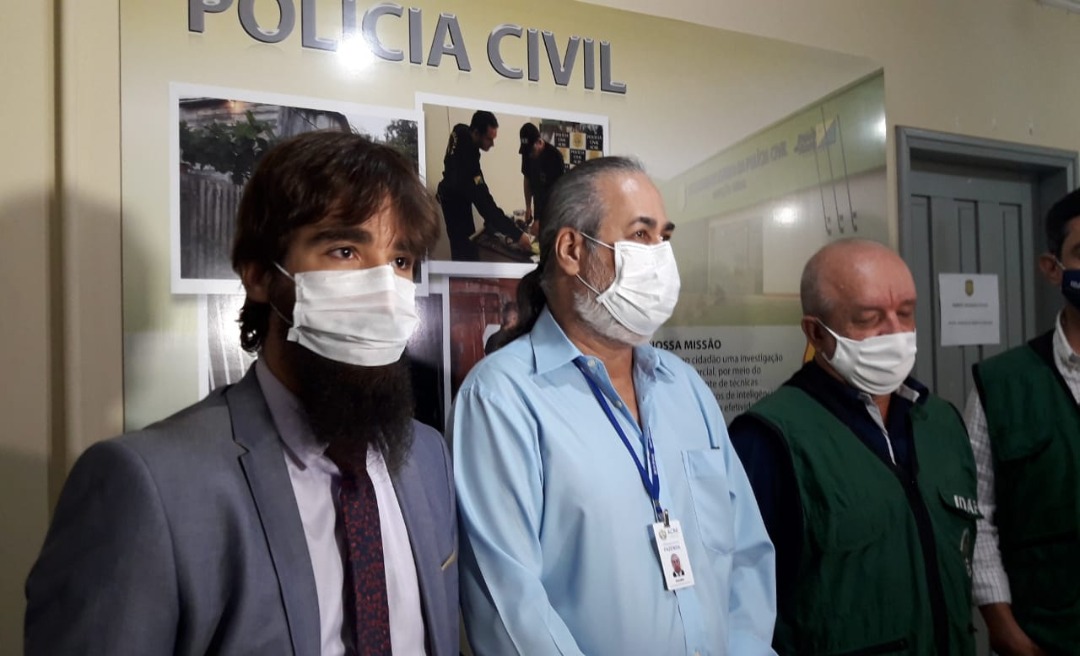 Ação integrada apreende 95 cabeças de gado transportadas com GTA falsificada