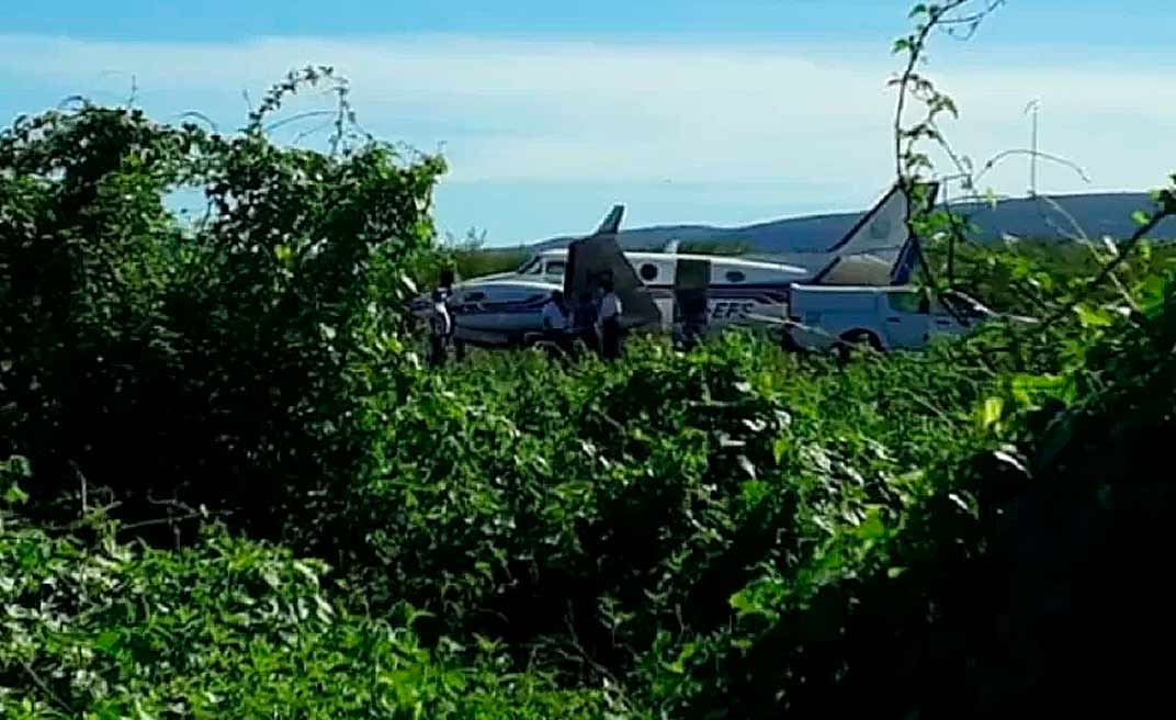Avião com doses de vacina contra covid bate em jumentos ao pousar na Bahia