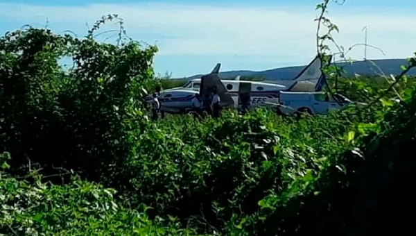 Avião com doses de vacina contra covid bate em jumentos ao pousar na Bahia