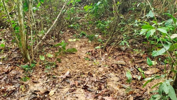 Polícia prende mulher que participou da execução de menina de 13 anos encontrada em cova rasa