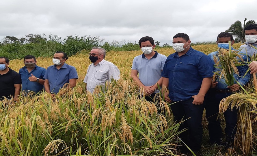  Secretário Israel Milani participa de dia de campo em Plácido de Castro e coloca tecnologia à disposição dos agricultores