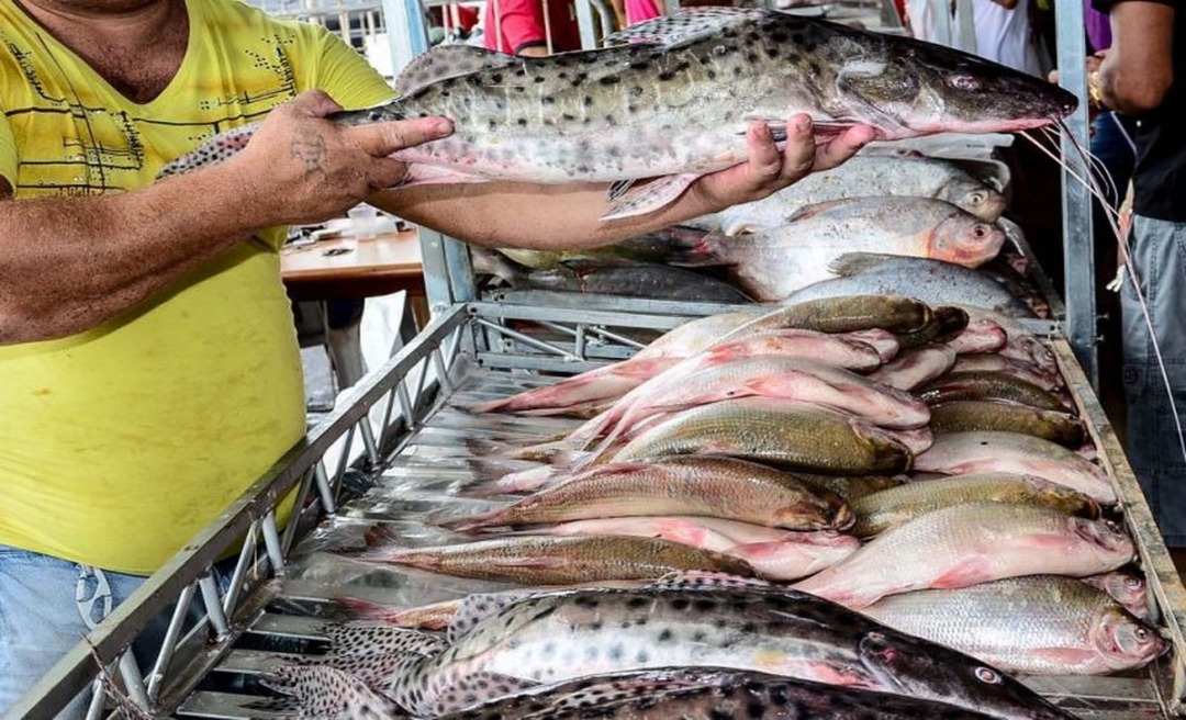 Para evitar aglomeração, Feira do Peixe na Semana Santa é cancelada pela prefeitura 