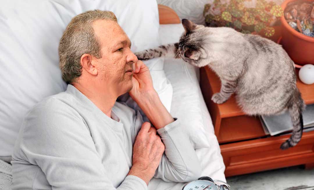 Calixto sobre Bittar: "Esse é do tipo do gato que dá a azunhada e esconde as unhas"