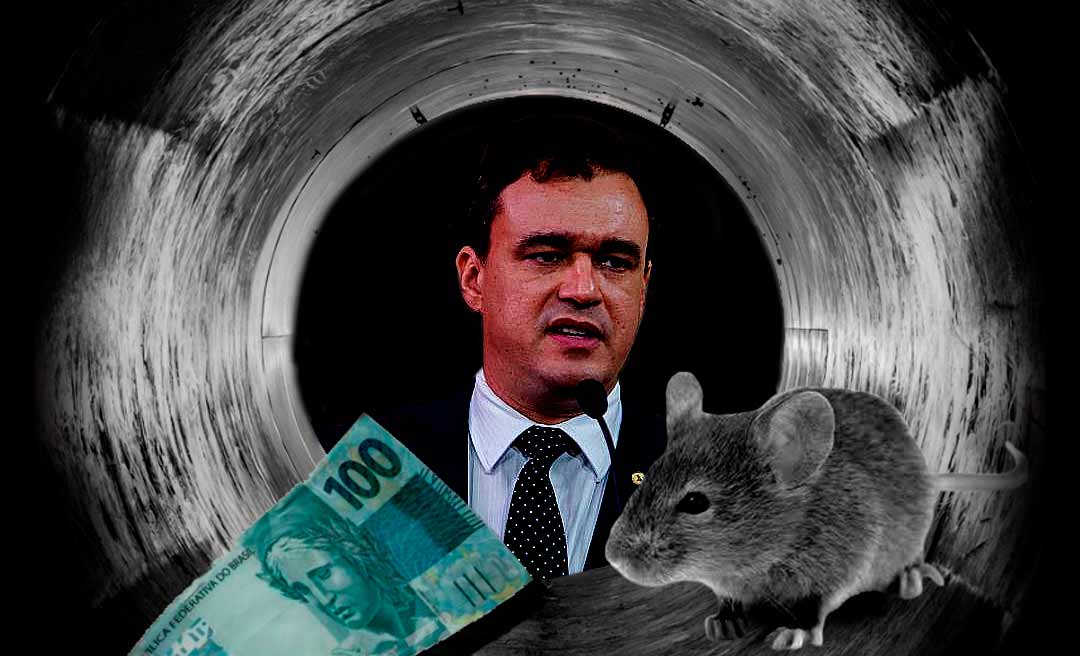 Autor da CPI da Educação dispara: “a pandemia não pode ser motivo pra que se pratiquem crimes a céu aberto e fique tudo bem”