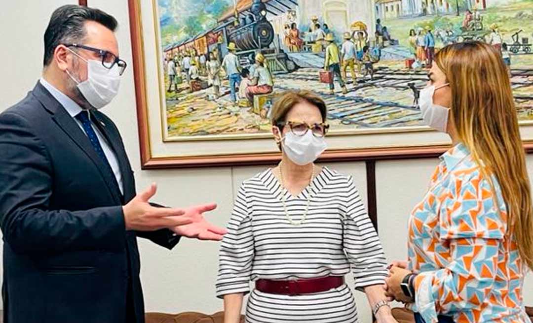 Alan Rick reúne-se com ministra da Agricultura e pede apoio no fortalecimento da produção rural no Estado
