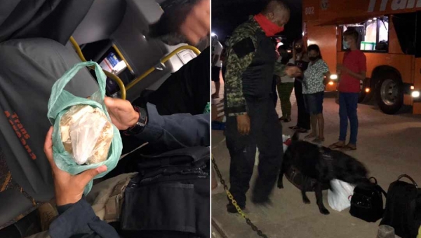 Ação integrada entre Policia Civil e Polícia Rodoviária Federal apreende drogas em ônibus que saiu de Cruzeiro do Sul