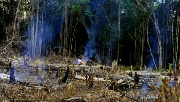 MPF pede investigação de  dois servidores  do Imac que teriam fraudado sistemas  para regularizar áreas griladas
