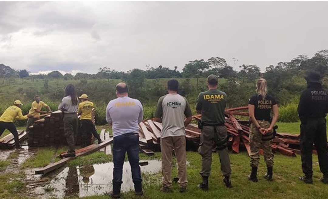 Ação do Ibama, ICMBio e Polícia Federal manda três pra cadeia por receptação qualificada