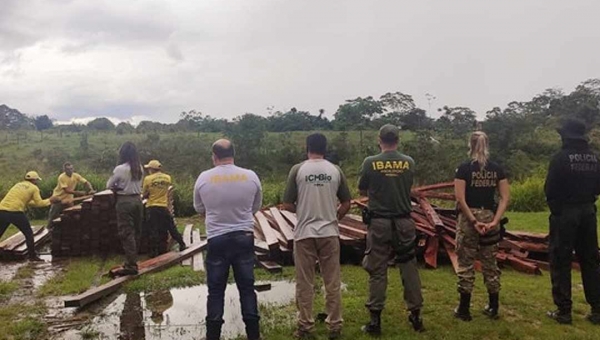 Ação do Ibama, ICMBio e Polícia Federal manda três pra cadeia por receptação qualificada