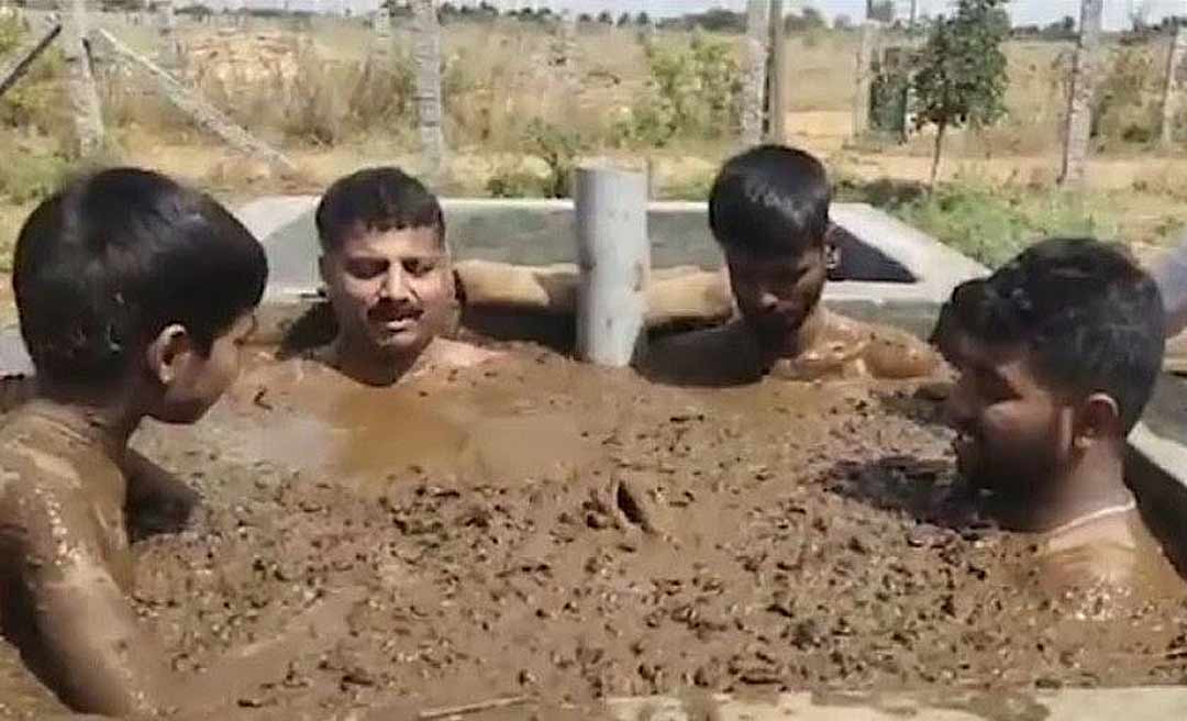 Indianos usam esterco de vaca como prevenção à Covid, mas médicos não recomendam