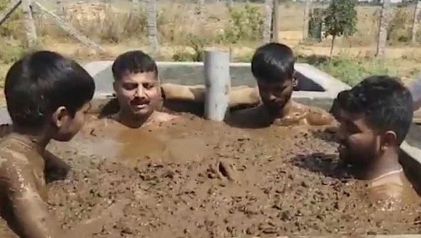 Indianos usam esterco de vaca como prevenção à Covid, mas médicos não recomendam