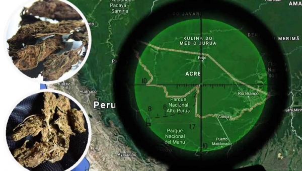 Acre virou rota da maconha ‘gourmet’ colombiana no Brasil, diz El País