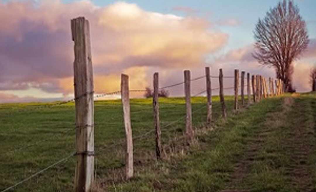 Acre é o 2º na Amazônia em sobreposição de propriedades rurais em áreas de proteção ambiental