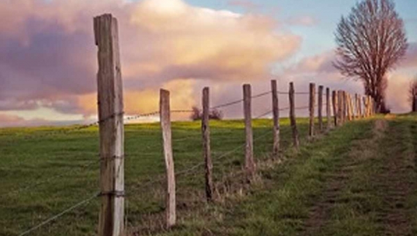 Acre é o 2º na Amazônia em sobreposição de propriedades rurais em áreas de proteção ambiental
