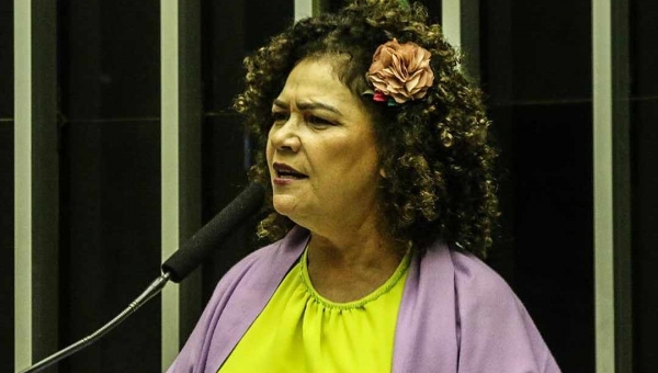 Deputada Perpétua Almeida vota contra MP que autoriza a privatização da Eletrobras