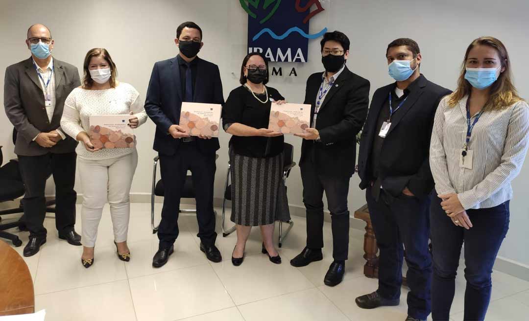 Vanda Milani defende, no Ibama, aperfeiçoamento do Sistema SINAFLOR