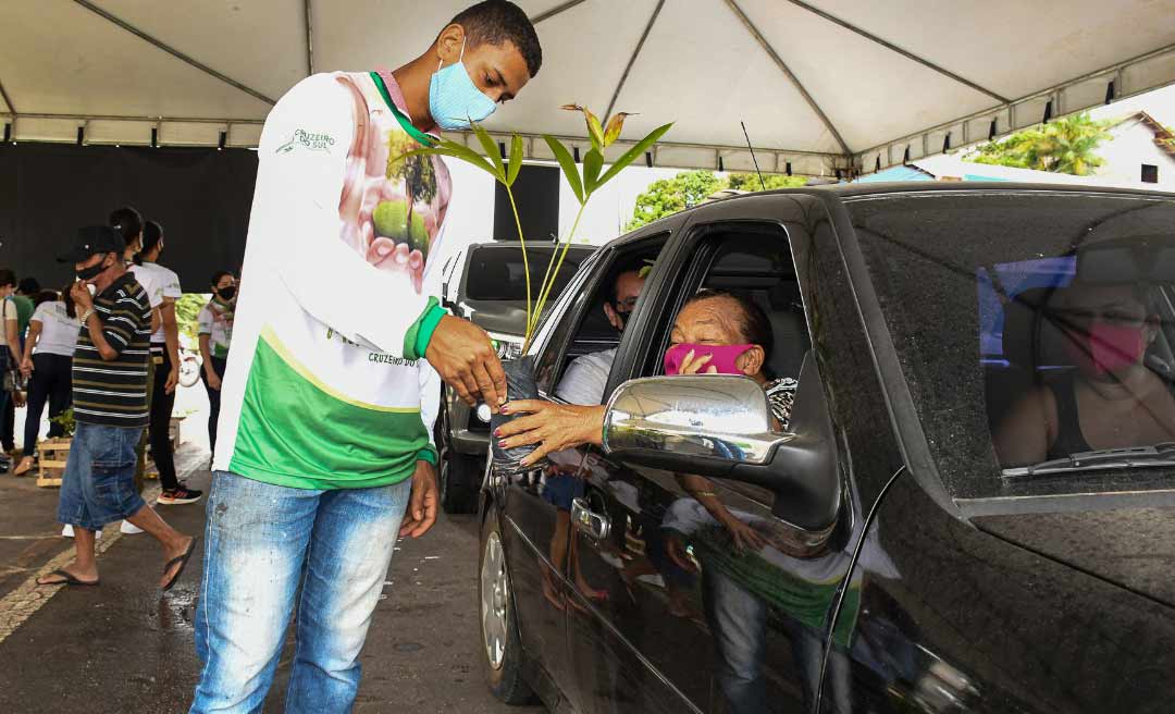 Prefeitura distribui muda de plantas através de drive-thru em cruzeiro do Sul